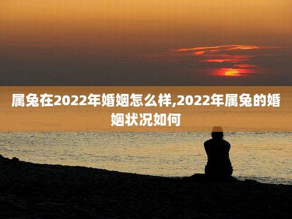 属兔在2022年婚姻怎么样,2022年属兔的婚姻状况如何