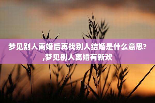 梦见别人离婚后再找别人结婚是什么意思?,梦见别人离婚有新欢