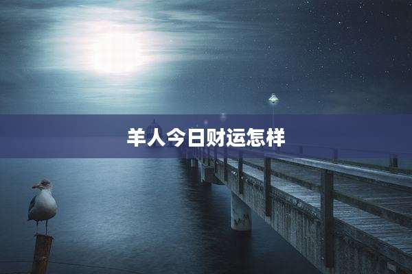 羊人今日财运怎样