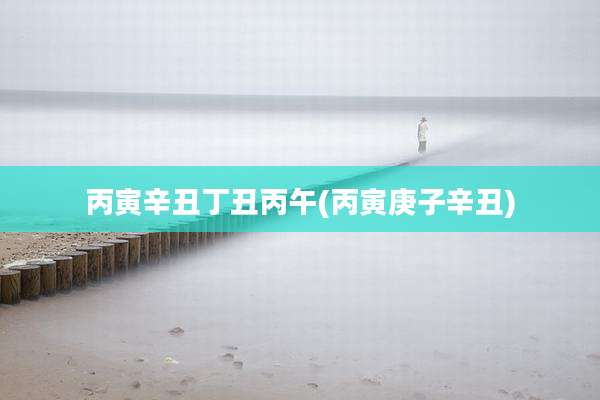 丙寅辛丑丁丑丙午(丙寅庚子辛丑)