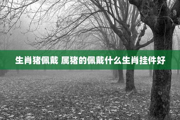 生肖猪佩戴 属猪的佩戴什么生肖挂件好