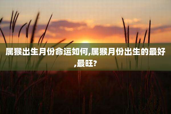 属猴出生月份命运如何,属猴月份出生的最好,最旺?