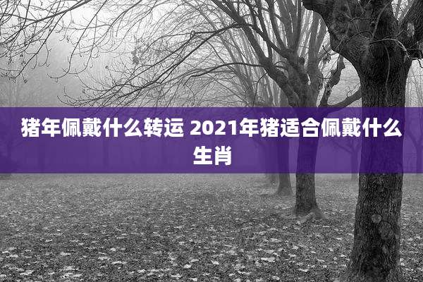 猪年佩戴什么转运 2021年猪适合佩戴什么生肖