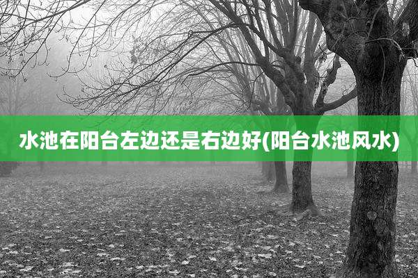 水池在阳台左边还是右边好(阳台水池风水)