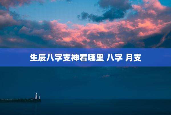生辰八字支神看哪里 八字 月支
