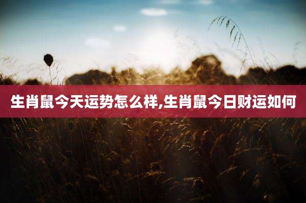 生肖鼠今天运势怎么样,生肖鼠今日财运如何