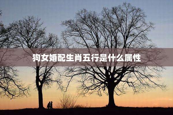 狗女婚配生肖五行是什么属性