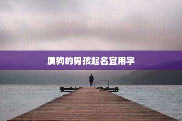 属狗的男孩起名宜用字