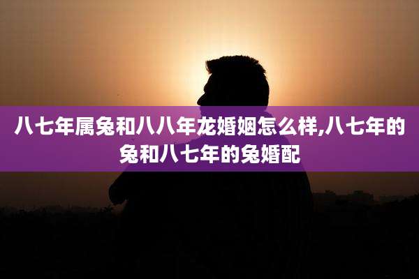 八七年属兔和八八年龙婚姻怎么样,八七年的兔和八七年的兔婚配