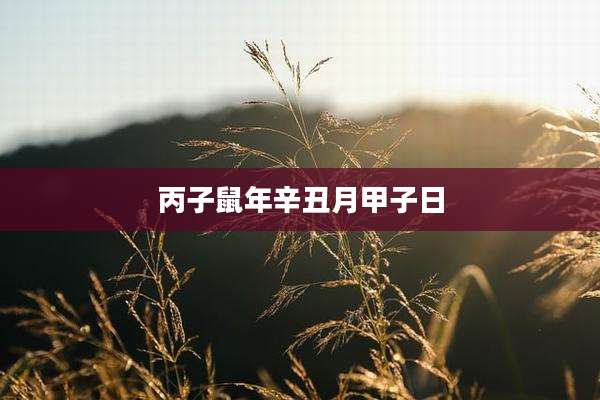丙子鼠年辛丑月甲子日