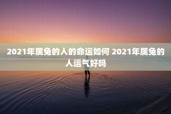 2021年属兔的人的命运如何 2021年属兔的人运气好吗