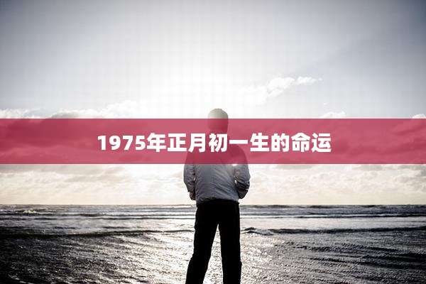 1975年正月初一生的命运