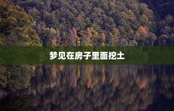 梦见在房子里面挖土