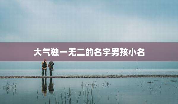 大气独一无二的名字男孩小名