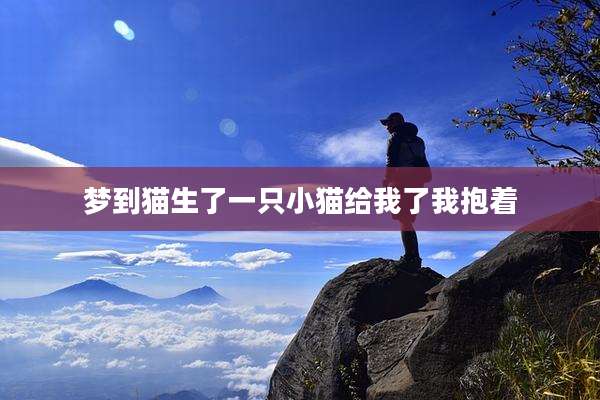 梦到猫生了一只小猫给我了我抱着