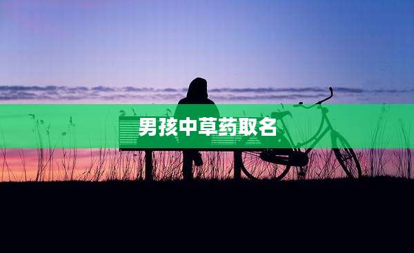 男孩中草药取名