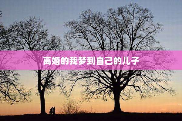 离婚的我梦到自己的儿子