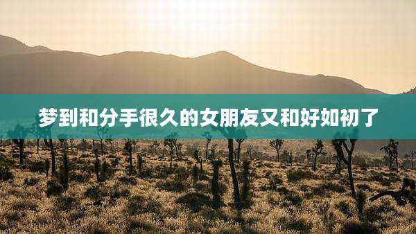 梦到和分手很久的女朋友又和好如初了
