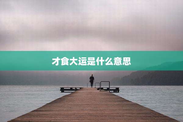 才食大运是什么意思