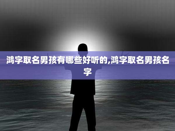 鸿字取名男孩有哪些好听的,鸿字取名男孩名字
