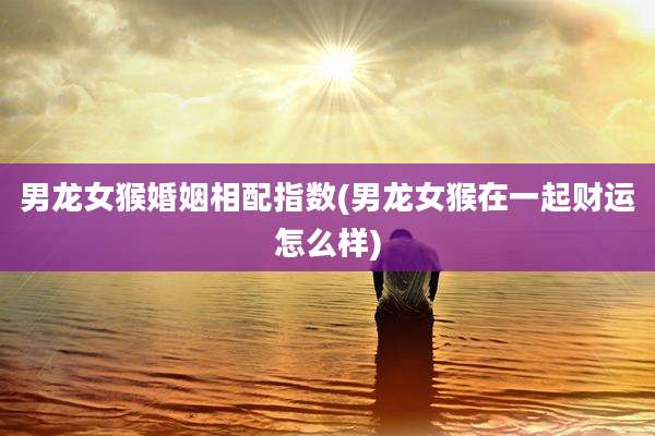 男龙女猴婚姻相配指数(男龙女猴在一起财运怎么样)