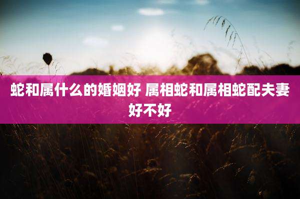蛇和属什么的婚姻好 属相蛇和属相蛇配夫妻好不好
