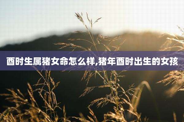 酉时生属猪女命怎么样,猪年酉时出生的女孩