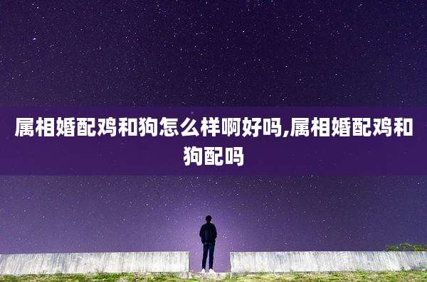 属相婚配鸡和狗怎么样啊好吗,属相婚配鸡和狗配吗