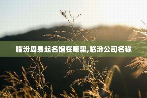 临汾周易起名馆在哪里,临汾公司名称