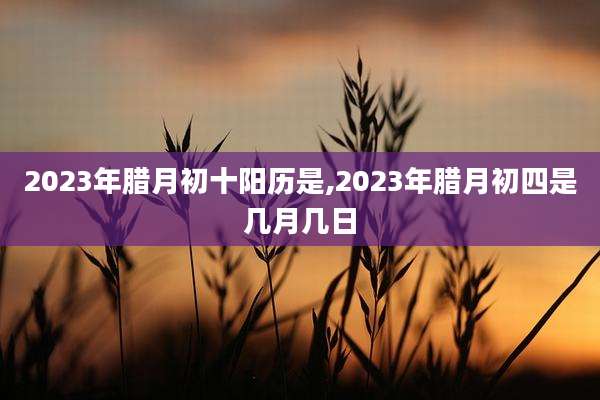 2023年腊月初十阳历是,2023年腊月初四是几月几日