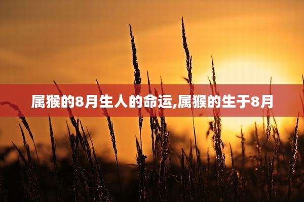 属猴的8月生人的命运,属猴的生于8月