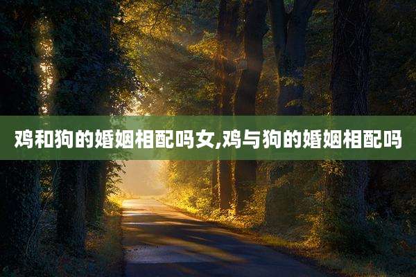鸡和狗的婚姻相配吗女,鸡与狗的婚姻相配吗