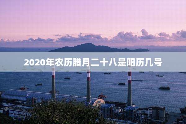 2020年农历腊月二十八是阳历几号
