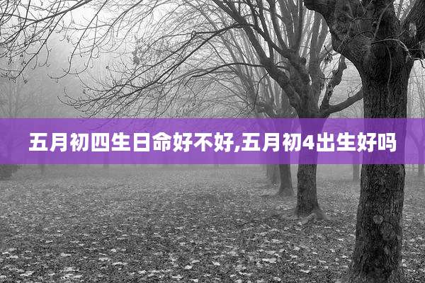 五月初四生日命好不好,五月初4出生好吗