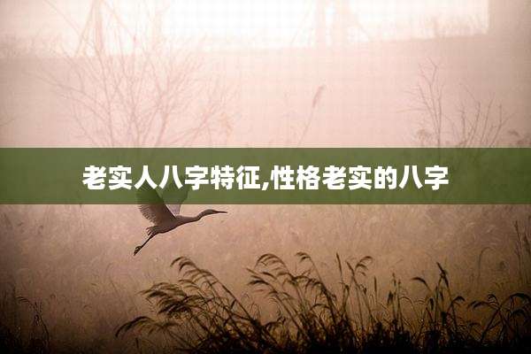 老实人八字特征,性格老实的八字