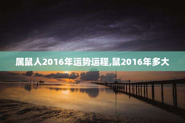 属鼠人2016年运势运程,鼠2016年多大