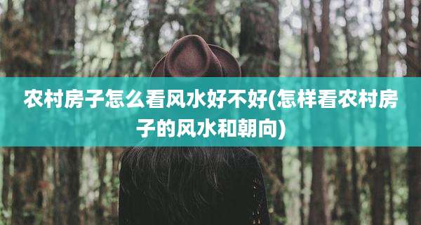 农村房子怎么看风水好不好(怎样看农村房子的风水和朝向)