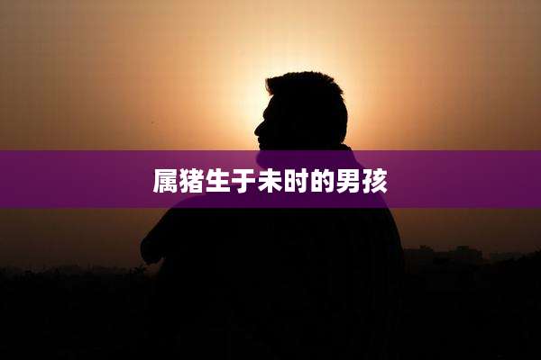 属猪生于未时的男孩