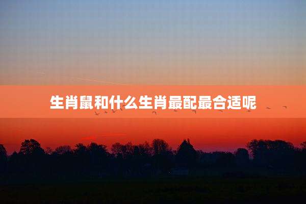 生肖鼠和什么生肖最配最合适呢
