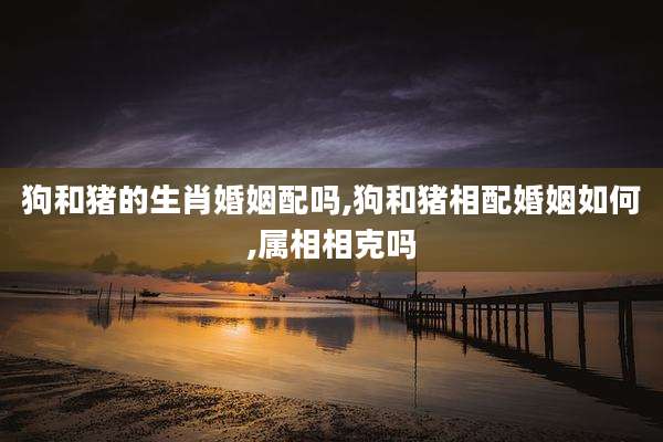 狗和猪的生肖婚姻配吗,狗和猪相配婚姻如何,属相相克吗