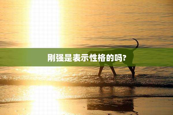 刚强是表示性格的吗?