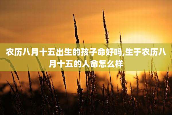 农历八月十五出生的孩子命好吗,生于农历八月十五的人命怎么样