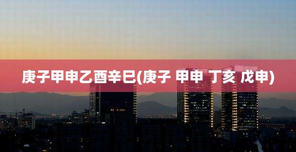 庚子甲申乙酉辛巳(庚子 甲申 丁亥 戊申)