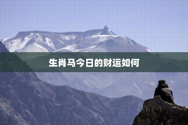 生肖马今日的财运如何