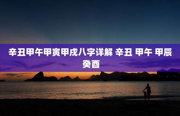 辛丑甲午甲寅甲戌八字详解 辛丑 甲午 甲辰 癸酉
