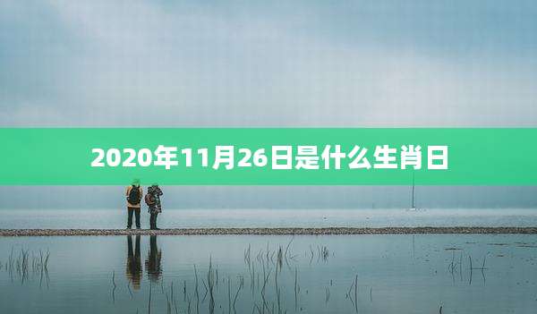 2020年11月26日是什么生肖日