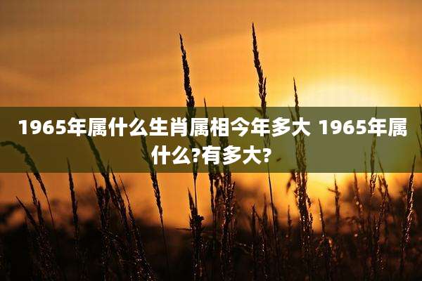 1965年属什么生肖属相今年多大 1965年属什么?有多大?