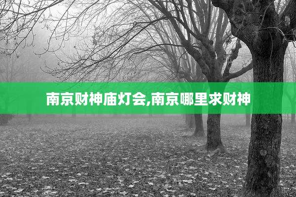 南京财神庙灯会,南京哪里求财神
