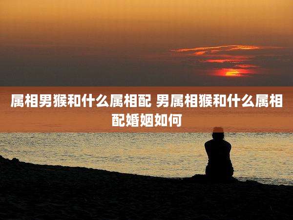 属相男猴和什么属相配 男属相猴和什么属相配婚姻如何