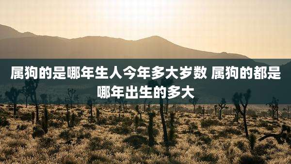 属狗的是哪年生人今年多大岁数 属狗的都是哪年出生的多大